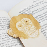 close up of the chimpanzee details